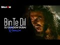 Binte Dil Remix | DJ Shadow Dubai | Padmaavat | Ranveer Singh | Deepika Padukone | Shahid Kapoor