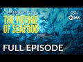 The Future Of Seafood Full Episode