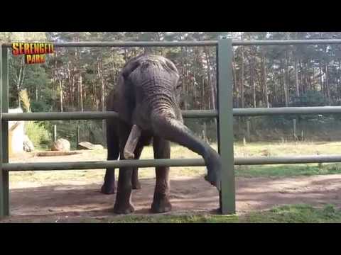 Serengeti Park. 16-10-2016