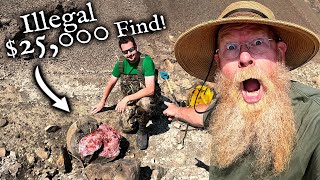 We found a $25,000 Fossil!  *Illegal Ammonite Mining!*