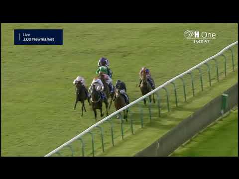 Dewhurst Stakes - Gruppe 1