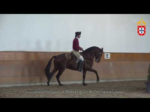 220128 1 Jeremias - Aprovação de Garanhões