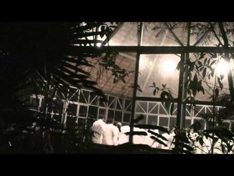 VOU CONTAR MINHA HISTÓRIA - F.D.J. - NOVA JERUSALÉM 4