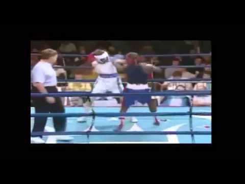 Rose - Mistrz Boksu (feat. Mentor, Adm, Eripe, Quebonafide, prod. Rose) [VIDEO]