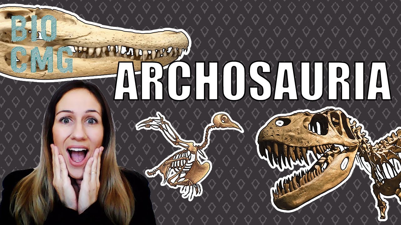 Archosauria - Quem são esse répteis? Crocodylia, Dinosauria, Aves