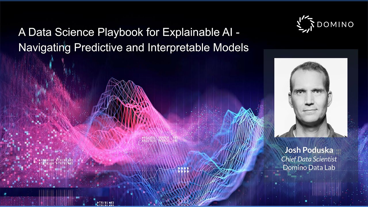 A Data Science Playbook for Explainable AI - Navigating Predictive and Interpretable Models