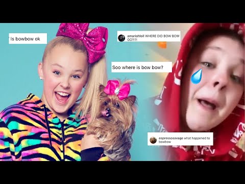YouTube video about: Did jojo siwa's dog bowbow die?
