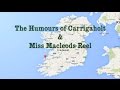 The Humours of Carrigaholt - Miss Macleods Reel