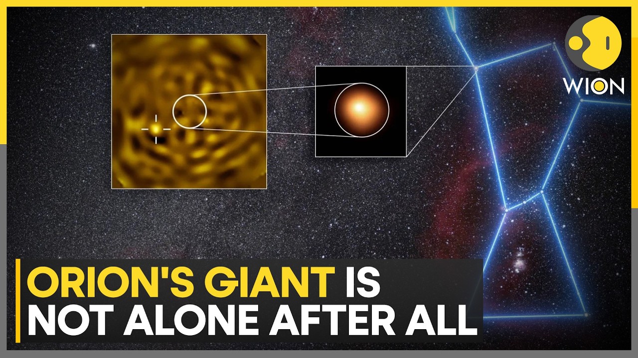 Astronomers Finally Discover Betelgeuse’s Hidden Companion Star | WION