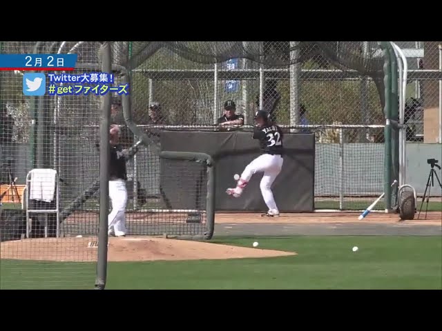 【ファイターズ春季キャンプ】ユーティリティーのファイターズ・谷内がフリー打撃 2019/2/2