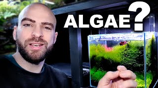 HOW TO STOP ALGAE! why I don