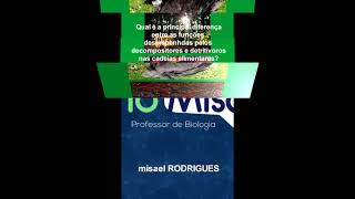 O Que Diferencia Os Seres Detritívoros Dos Seres Decompositores