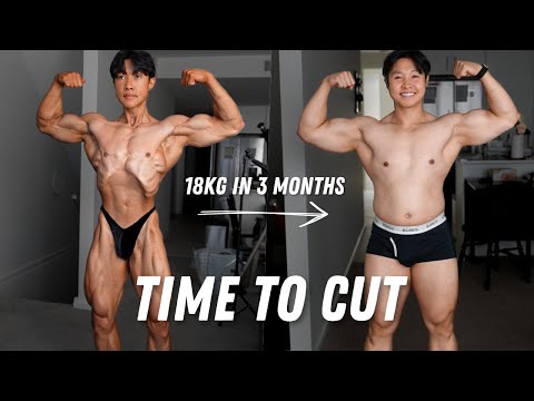 I GOT FAT... (6 week fat loss guide)