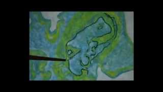 Final Warning Part 4