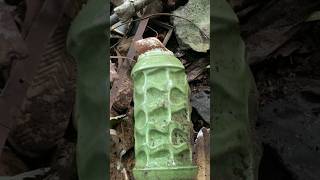 Download lagu I Remember This Lamp! #countrydiggers #dumpdigging #lamp #vintage mp3