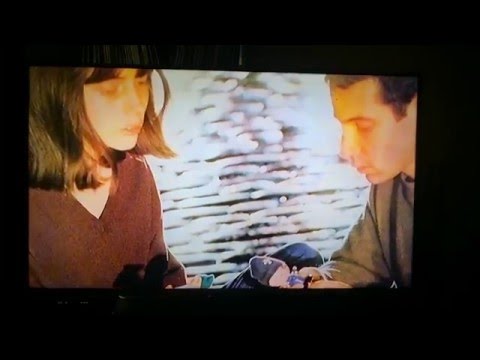 Paul Simon in Brentwood Report