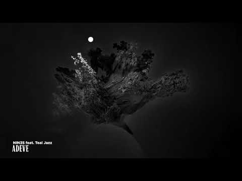 NIN3S feat Teal Jazz - Adeve