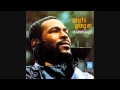 Marvin Gaye - Mercy Mercy Me (The Ecology) [playlist-friendly]