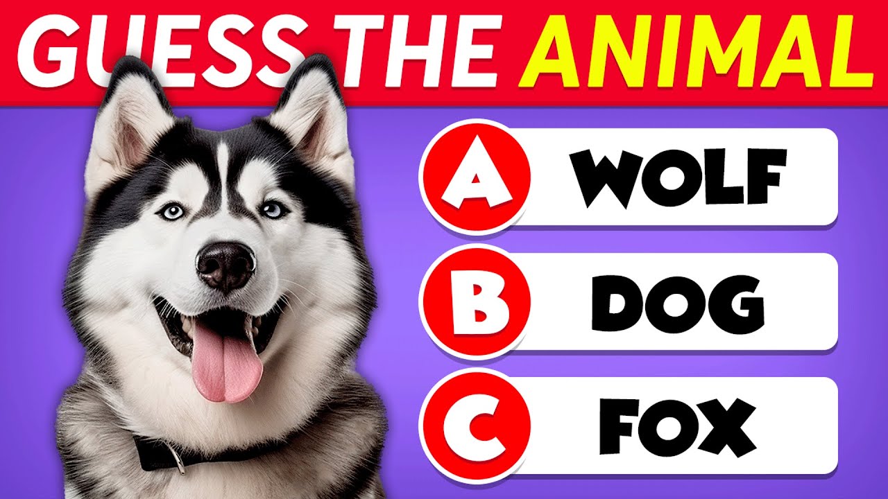 General Knowledge Questions About Animals! 🐵🧠🤯 Animals Knowledge Trivia Questions and Answers
