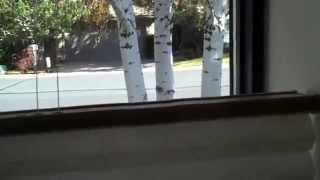 Top Down Bottom Up Cellular Shades