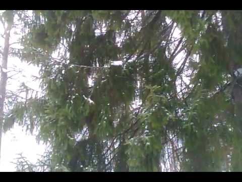 Tällästä tänään