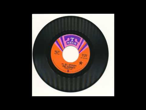 The Vandals - In My Opinion - T Neck 923