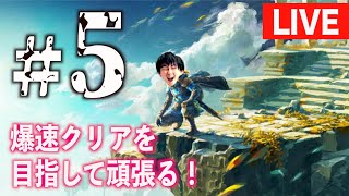 【＃5】日曜日だ！ゼルダの伝説 ティアーズ オブ ザ キングダムやっていく！