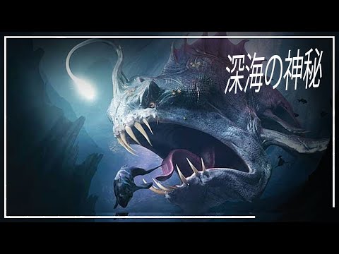 海底の蹄跡:研究者らが「神秘的な生命の痕跡」を発見
