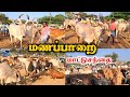 மணப்பாறை மாட்டுசந்தை எம்புட்டு மாடு 