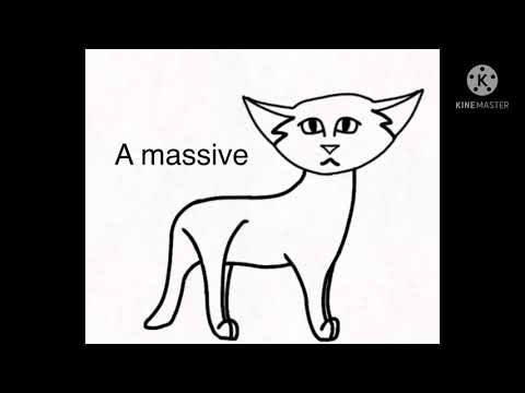 According to Warriors Wiki. 70 subscriber special