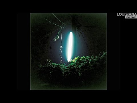 8 Artists: Light of the Night