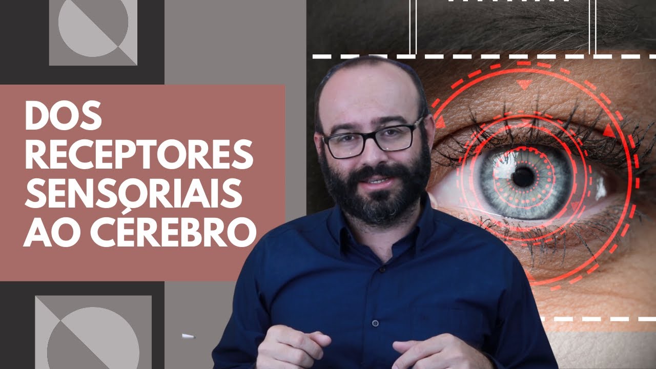 Cones e Bastonetes |Transmissão do Olho para o Cérebro | Sensação e Percepção #4