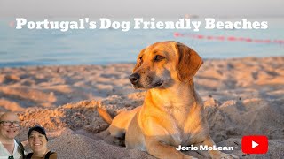 Where Can I Find Dog Friendly Beaches in Portugal? @jmcstravels