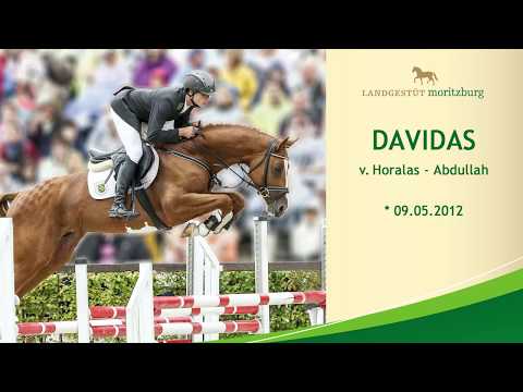 DAVIDAS v. Horalas - Abdullah