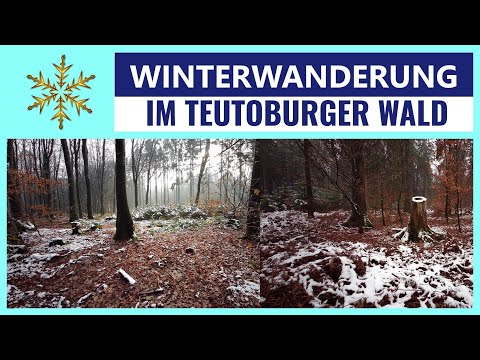 Teutoburger Wald -Winterwanderung-