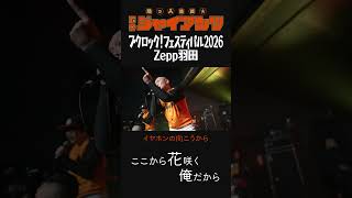 ブクロック！フェスティバル2026 Zepp羽田「ここから花咲く俺だから」 #コミックバンド #バンド #ライブ #ブクロック  #邦ロック