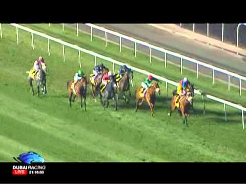 26.01.2012 Meydan (Dubai UAE) 5.Race Dubai Duty Free - Al Rashidiya 2012 - Group II 1.800 m