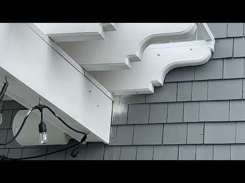 Dusting the Yellow Jackets in Basking Ridge, NJ