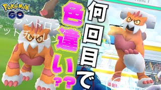 【厳選】色違いランドロスは伝説レイド何回目でゲットできる？もはやできない？？【ポケモンGO】