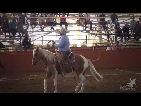 1er lugar TERNA Hermanos Muñoz - #ArenaVallarta2017