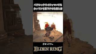 カップルを落下させる侵入者ｗｗ【ELDEN RING】