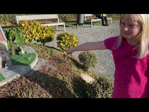 Schülers on Tour - Miniatur-, und Bürgerpark Wernigerode