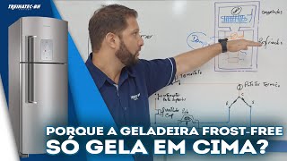 Geladeira Frost- Free gela em cima e embaixo não