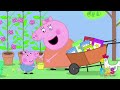 CHICKEN CHAOS Where Did They All Go Peppa Pig 2026 DNS Cartoons Series