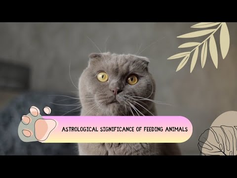 Astrological Significance of Feeding Animals ll #astrology #cats #dogs #feeding #viral