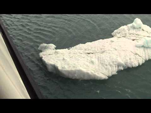 Westerdam vs Iceberg.MOV