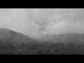 ШИШКИН ЛЕС CONE FOREST Универс Universe 2019 Full Album Official Drone Doom Post Met