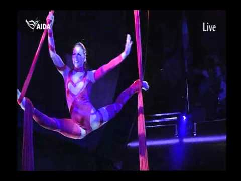 Aerial Silks