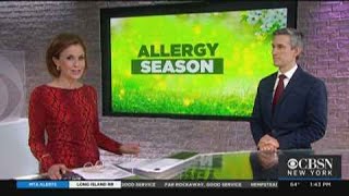 Allergy Season Packing A Punch