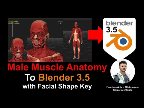 Male Muscle Anatomy to Blender 3.5 with Facial Shape Key - Full Tutorial